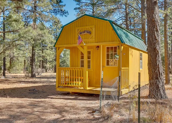 Dog-friendly With Wraparound Porch!